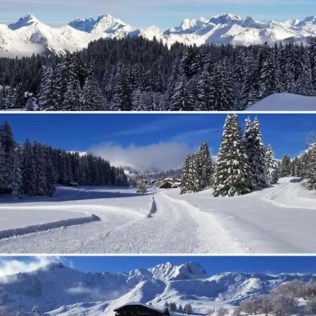 Studio Cabine Praz De Lys Танэнж Экстерьер фото