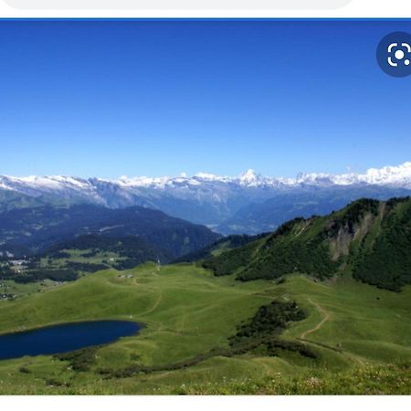 Studio Cabine Praz De Lys Танэнж Экстерьер фото