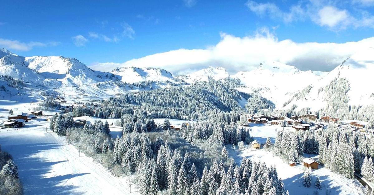 Studio Cabine Praz De Lys Танэнж Экстерьер фото