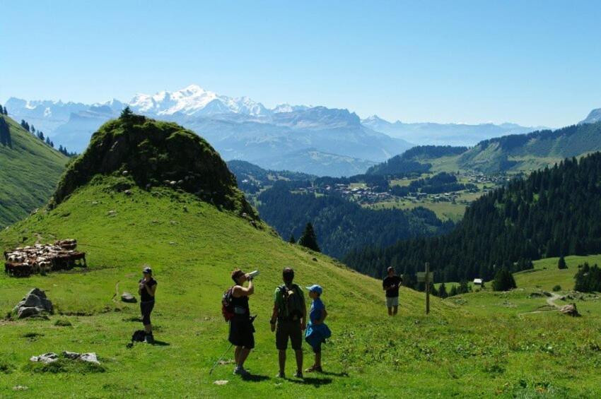 Studio Cabine Praz De Lys Танэнж Экстерьер фото