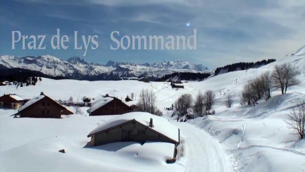 Studio Cabine Praz De Lys Танэнж Экстерьер фото
