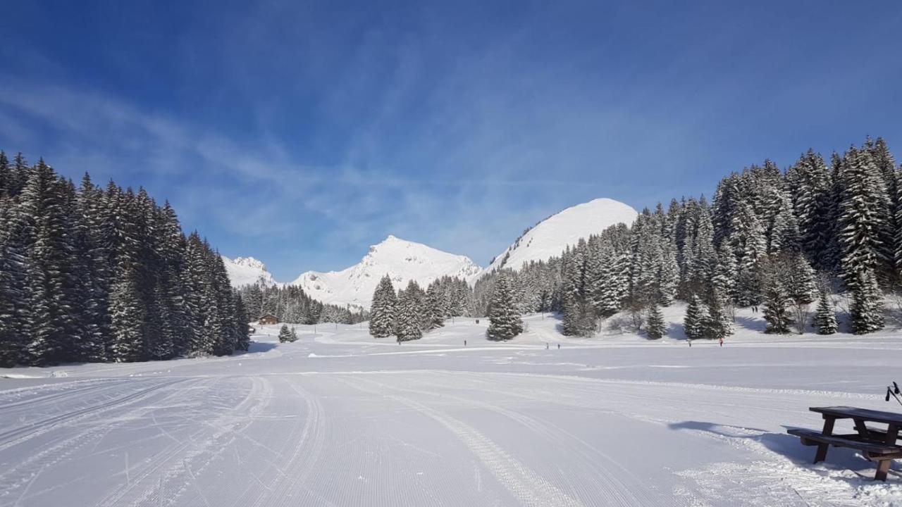 Studio Cabine Praz De Lys Танэнж Экстерьер фото