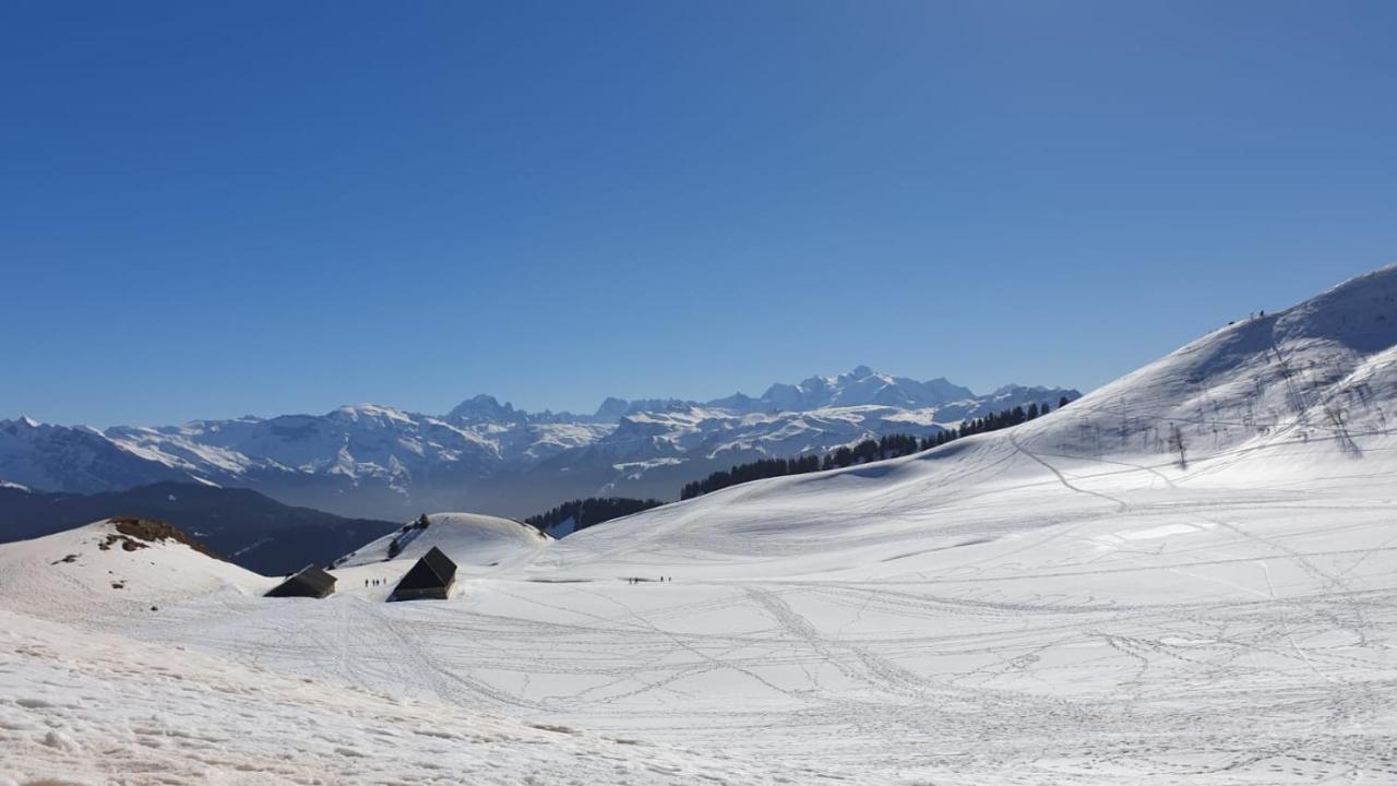 Studio Cabine Praz De Lys Танэнж Экстерьер фото