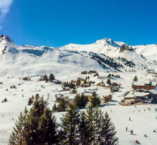 Studio Cabine Praz De Lys Танэнж Экстерьер фото