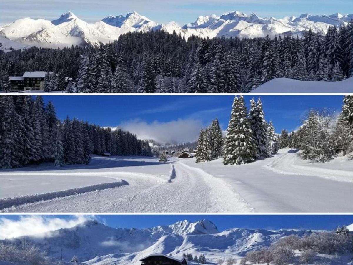 Studio Cabine Praz De Lys Танэнж Экстерьер фото