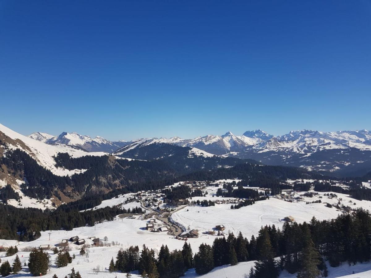 Studio Cabine Praz De Lys Танэнж Экстерьер фото
