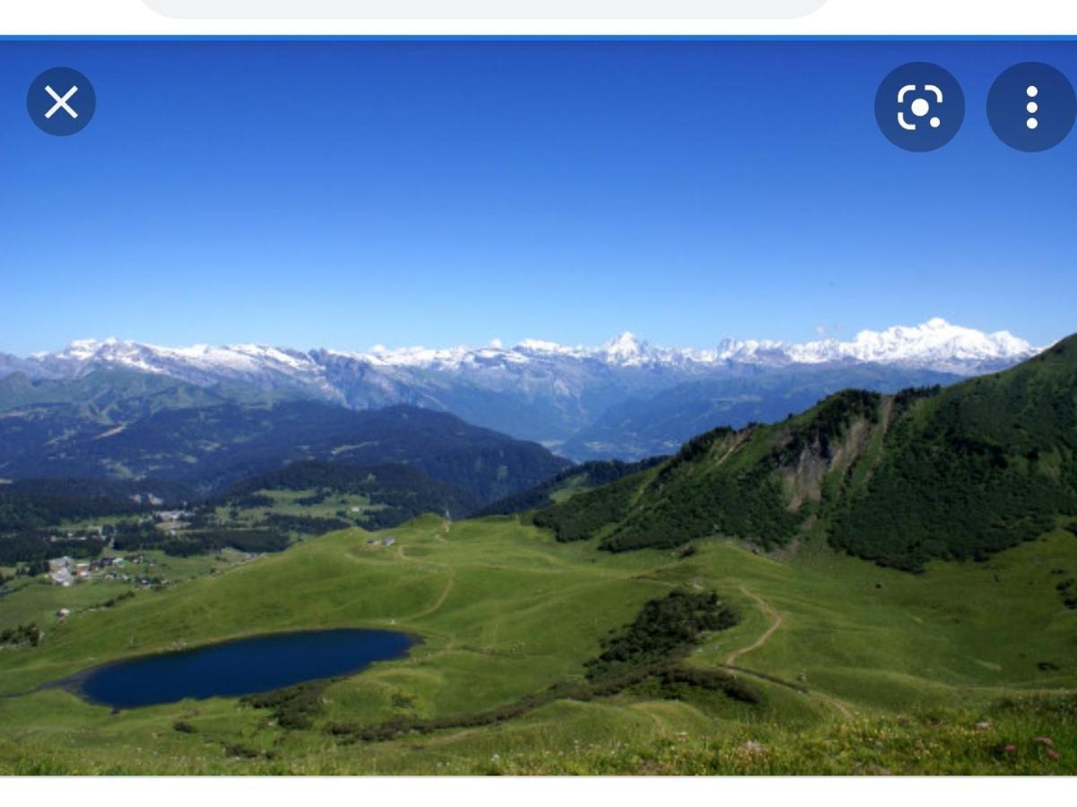 Studio Cabine Praz De Lys Танэнж Экстерьер фото