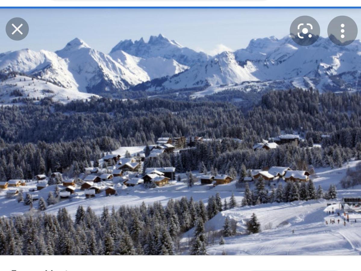 Studio Cabine Praz De Lys Танэнж Экстерьер фото