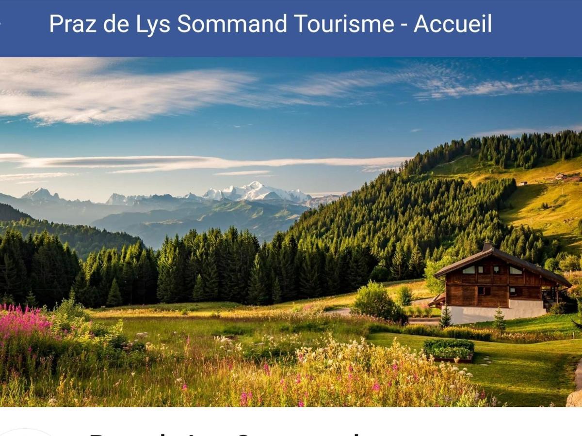 Studio Cabine Praz De Lys Танэнж Экстерьер фото